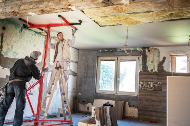 Best Geographic-Specific Insulation Services in Hattiesburg, MS