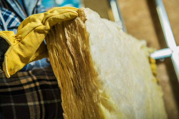 Best Eco-Friendly Insulation in Hattiesburg, MS