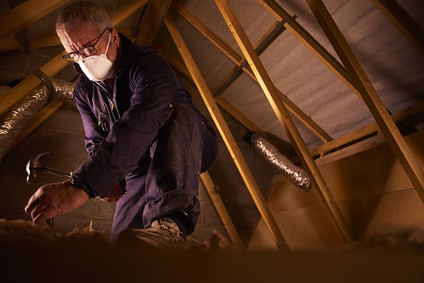 Best Residential Insulation in Hattiesburg, MS