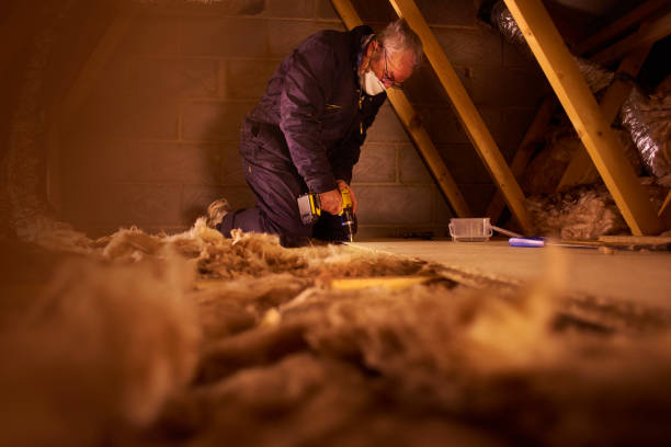 Best Cellulose Insulation in Hattiesburg, MS